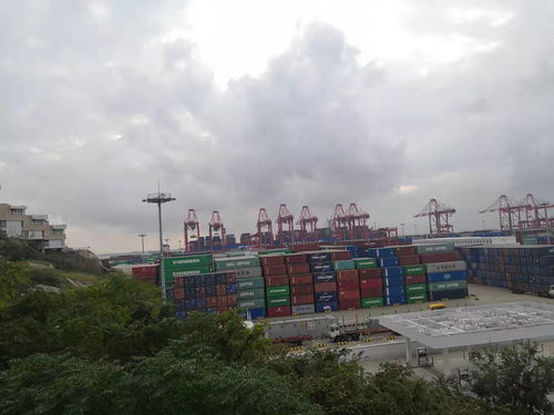 上海港危险品货代危险品国际物流流程
