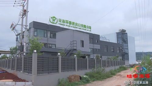 保持全省第一 上半年玉溪市农产品出口总额达10亿美元